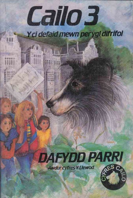 Llun o 'Cailo 3' 
                              gan Dafydd Parri