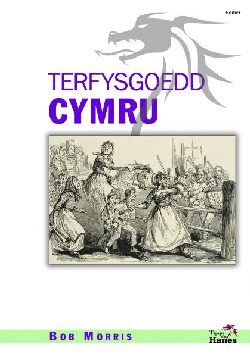 A picture of 'Tipyn O'n Hanes: Terfysgoedd Cymru' 
                              by Bob Morris
