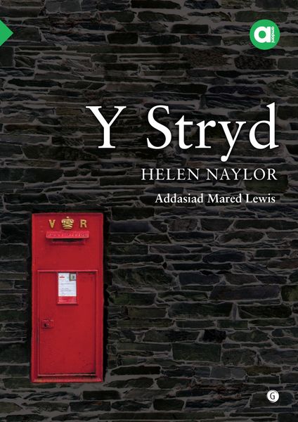 Llun o 'Cyfres Amdani: Y Stryd' 
                              gan Helen Naylor