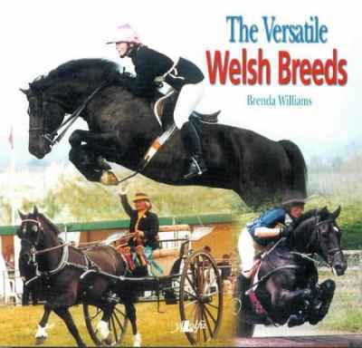 Llun o 'The Versatile Welsh Breeds' gan Brenda Williams