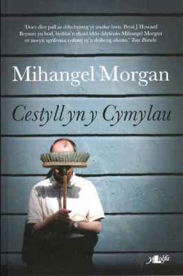 Llun o 'Cestyll yn y Cymylau' 
                              gan Mihangel Morgan