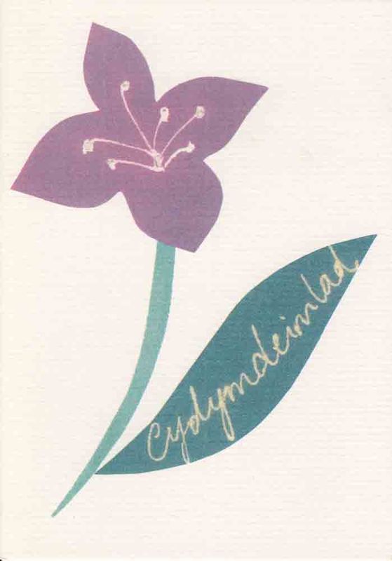 A picture of 'Cerdyn Cydymdeimlad' by Gwenno James