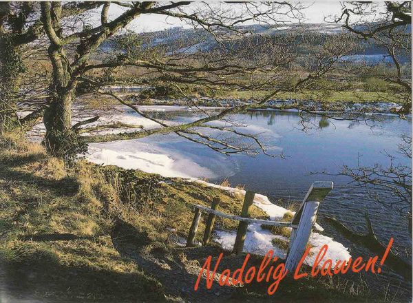 A picture of 'Afon Rheidol, Ceredigion: Cymru'r Nadolig gan Ron Davies' by 