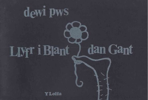 A picture of 'Llyfr i Blant Dan Gant' by Dewi Pws Morris