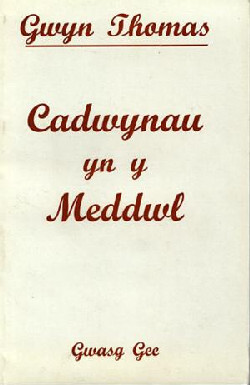 A picture of 'Cadwynau yn y Meddwl' by Gwyn Thomas