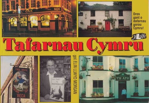 A picture of 'Tafarnau Cymru' by Elin Llwyd Morgan