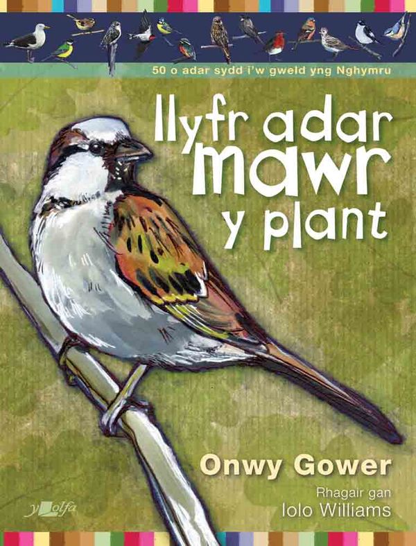 A picture of 'Llyfr Adar Mawr y Plant' 
                              by Onwy Gower