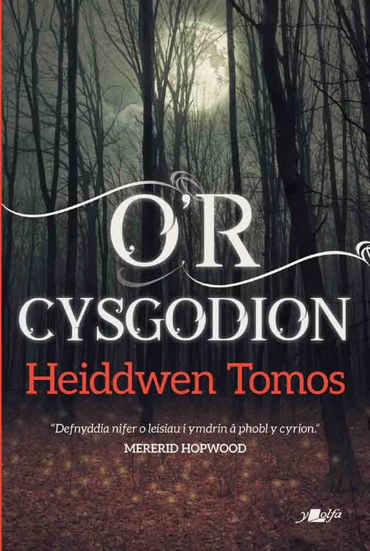 A picture of 'O'r Cysgodion' 
                              by Heiddwen Tomos