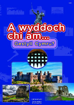 A picture of 'Cyfres a Wyddoch chi: A Wyddoch Chi am Gestyll Cymru?'