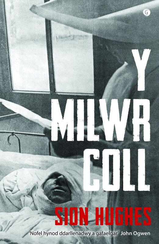 Llun o 'Y Milwr Coll'