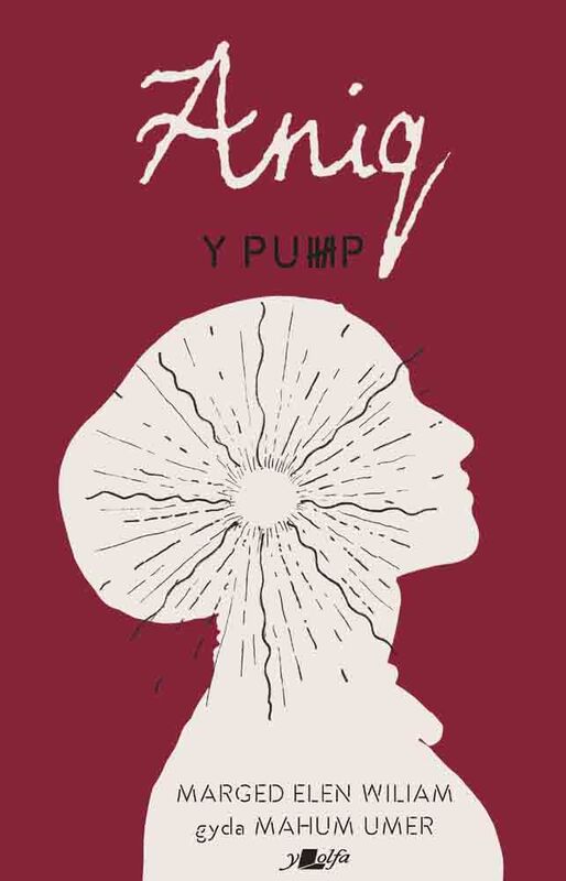 A picture of 'Y Pump - Aniq (e-lyfr)' by Marged Elen Wiliam, 