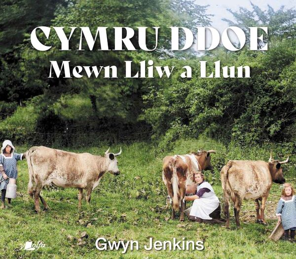 Llun o 'Cymru Ddoe Mewn Lliw a Llun' 
                              gan Gwyn Jenkins