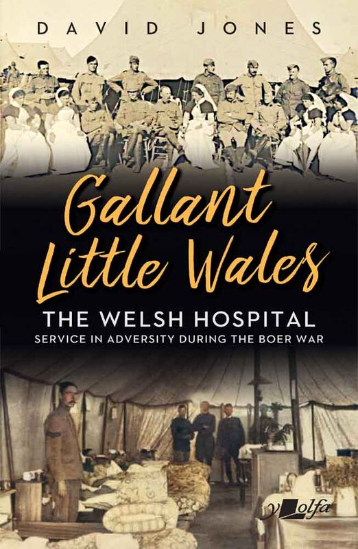 A picture of 'Gallant Little Wales' by David Jones