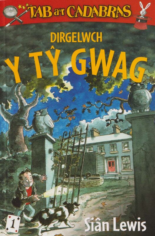 A picture of 'Cyfres Tab a'r Cadabras: 1. Dirgelwch y Tŷ Gwag'