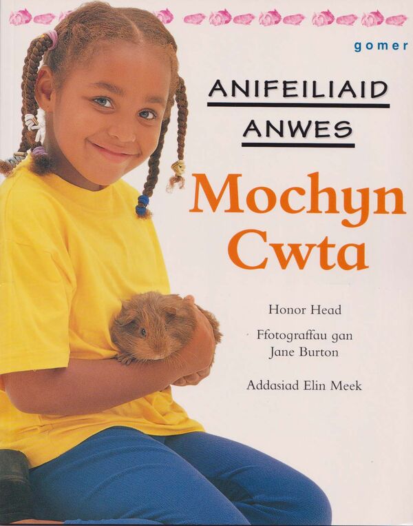 Llun o 'Cyfres Anifeiliaid Anwes: Mochyn Cwta' 
                              gan Honor Head