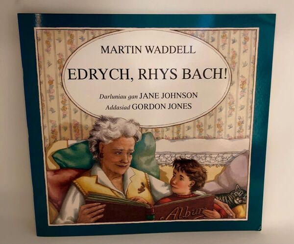 Llun o 'Edrych, Rhys Bach! (Llyfr Mawr)' gan Martin Waddell