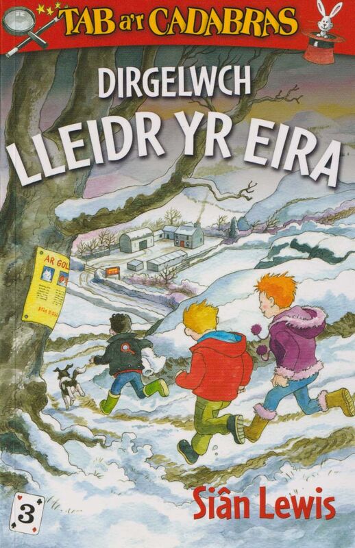 A picture of 'Cyfres Tab a'r Cadabras: 3. Dirgelwch Lleidr yr Eira' 
                              by Siân Lewis