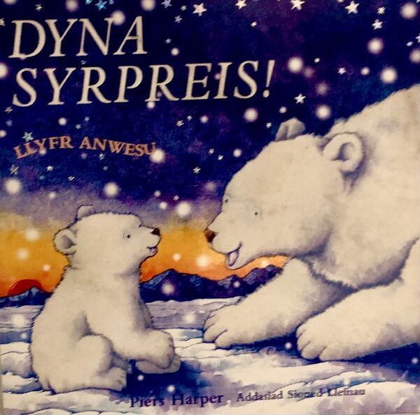 A picture of 'Dyna Syrpreis!' 
                              by Piers Harper