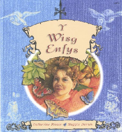 A picture of 'Y Wisg Enfys' 
                              by Catherine Fisher