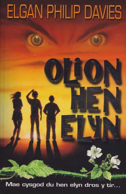 A picture of 'Dilyniant y Tir Tywyll: Olion Hen Elyn'