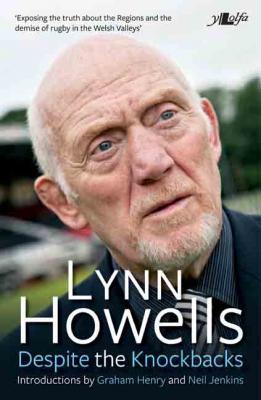 Llun o 'Despite the Knock-backs (ebook)' 
                              gan Lynn Howells