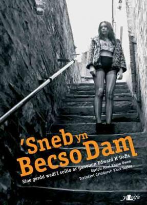 A picture of ''Sneb yn Becso Dam' by Mari Rhian Owen