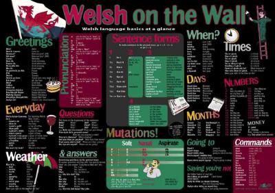 Llun o 'Welsh on the Wall Poster' gan Y Lolfa