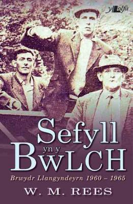 Llun o 'Sefyll yn y Bwlch - Brwydr Llangyndeyrn 1960-1965' gan W. M. Rees