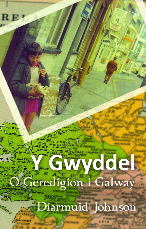Llun o 'Y Gwyddel - O Geredigoin i Galway' 
                              gan Diarmuid Johnson