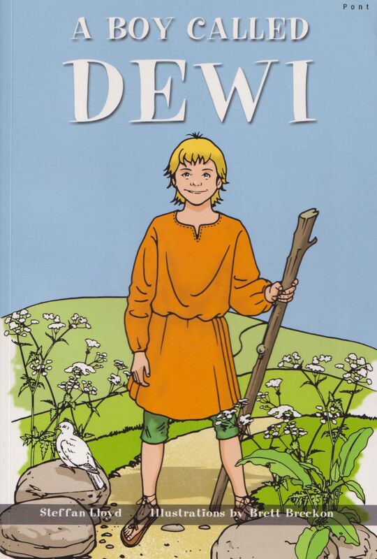 A picture of 'A Boy Called Dewi'