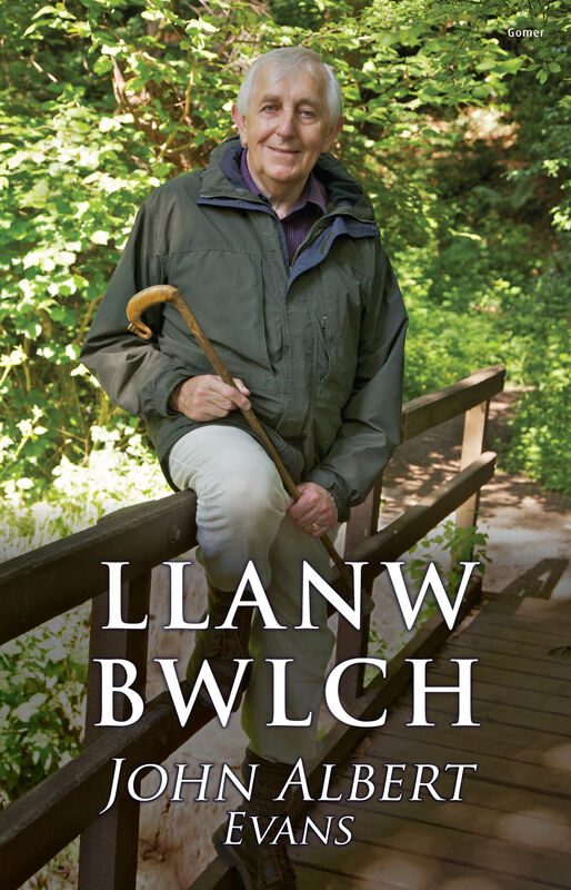 A picture of 'Llanw Bwlch' by John Albert Evans