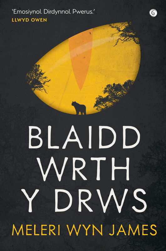 A picture of 'Blaidd wrth y Drws' by Meleri Wyn James
