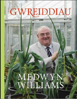 A picture of 'Gwreiddiau' by Medwyn Williams, Mari Emlyn