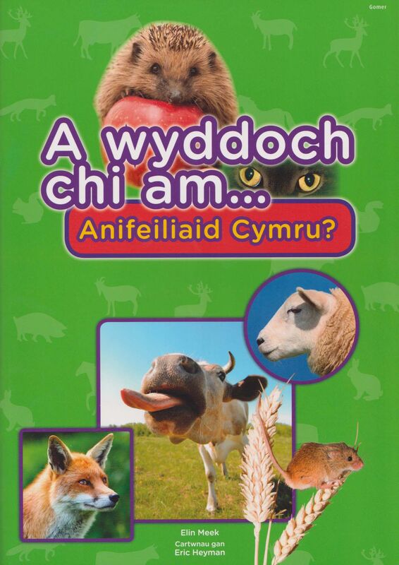 A picture of 'Cyfres a Wyddoch Chi: A Wyddoch Chi am Anifeiliaid Cymru?'