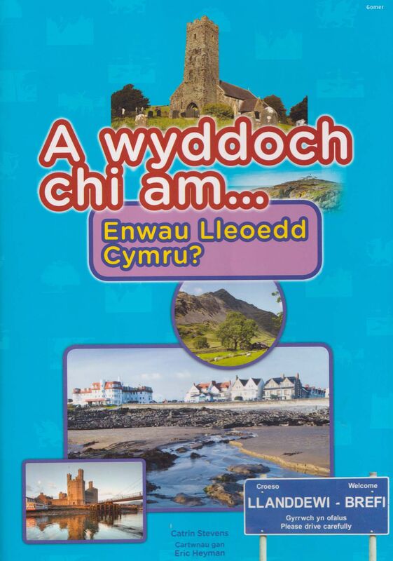 A picture of 'Cyfres a Wyddoch Chi: A Wyddoch Chi am Enwau Lleoedd Cymru?' by Catrin Stevens