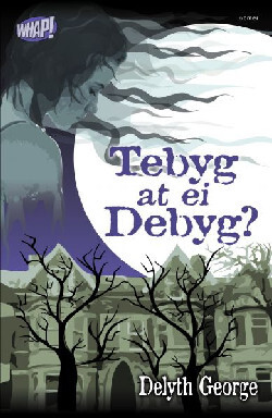 Llun o 'Cyfres Whap!: Tebyg at ei Debyg?' gan Delyth George