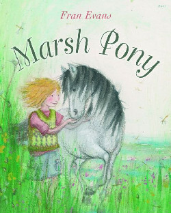 Llun o 'Marsh Pony'