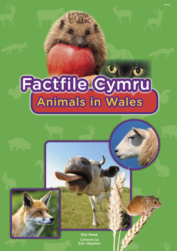 Llun o 'Factfile Cymru: Animals in Wales' gan Elin Meek