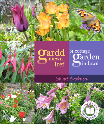 Llun o 'Gardd Mewn Tref/A Cottage Garden in Town' 
                              gan Stuart Blackmore